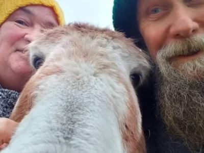 Meet Jack the&nbsp;donkey